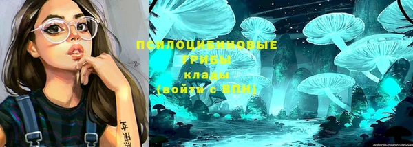 сатива Балабаново