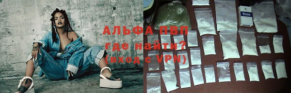 стаф Осташков