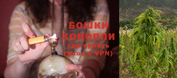 сатива Балабаново